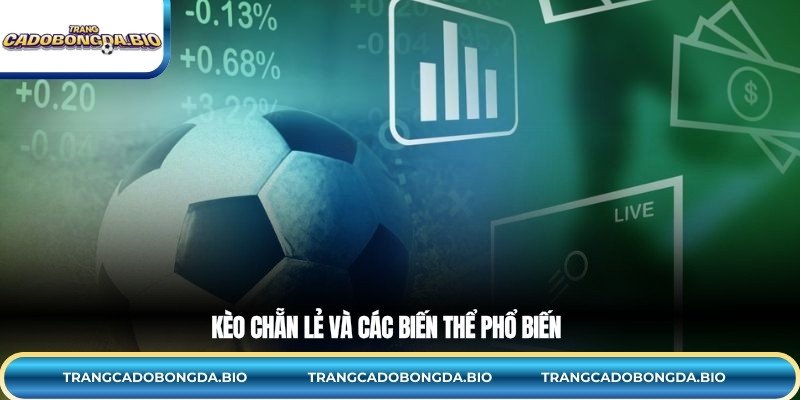 Kèo chẵn lẻ và các biến thể phổ biến