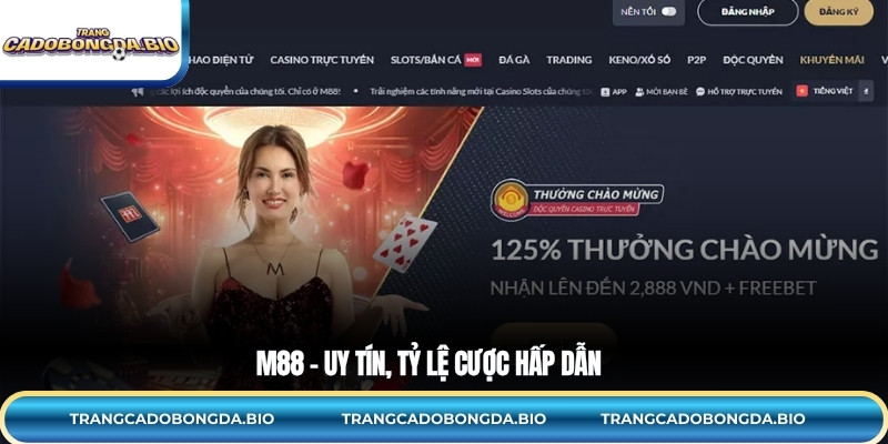 M88 – Uy tín, tỷ lệ cược hấp dẫn